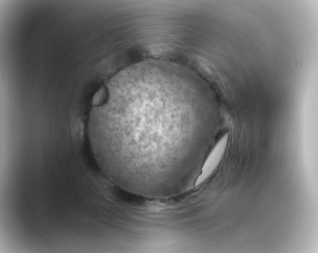 X0000088830703200706211815