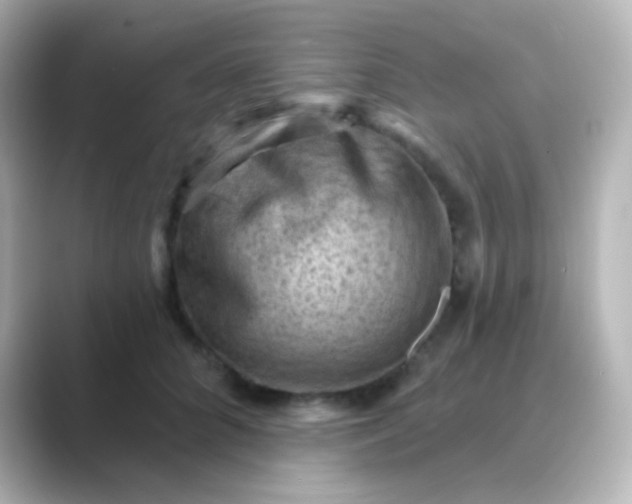 X0000088830704200706211815