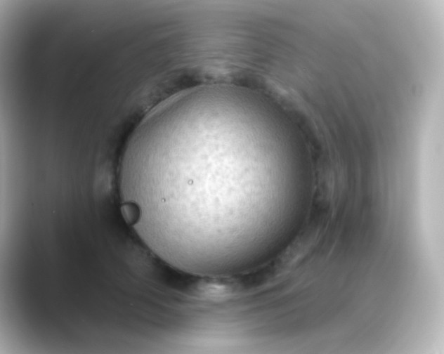 X0000088830706200706211815