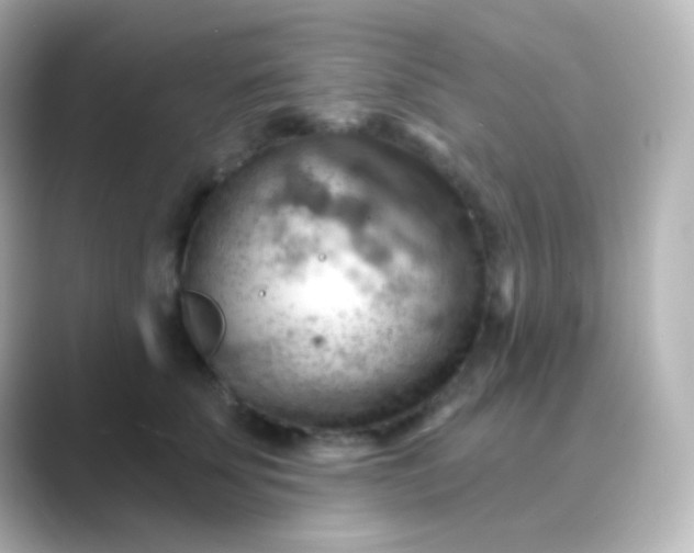 X0000088830707200706211815