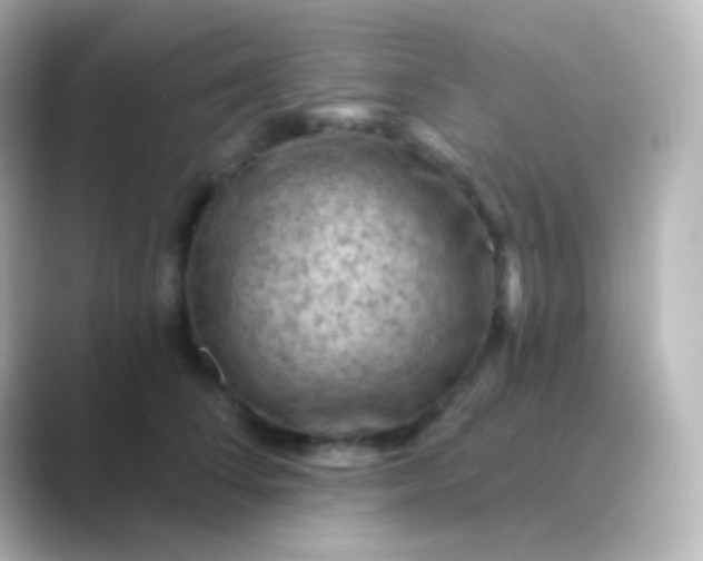 X0000088830708200706211815