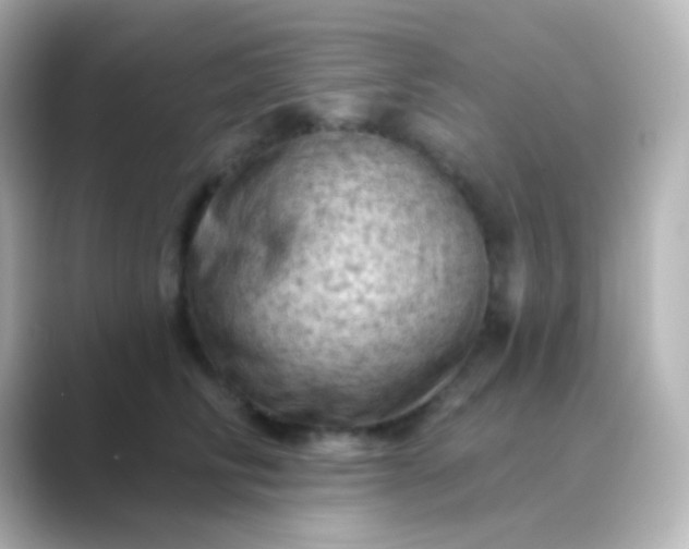 X0000088830710200706211815