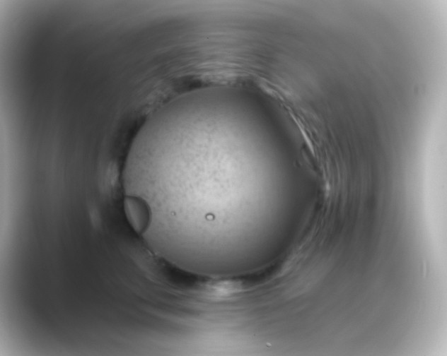 X0000088830711200706211815