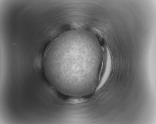 X0000088830712200706211815