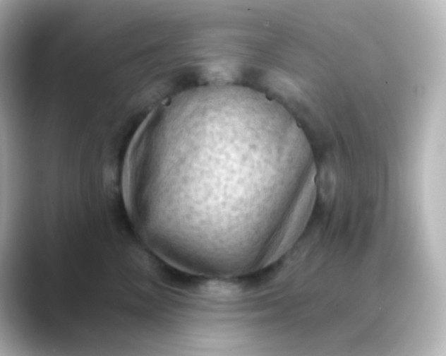 X0000088830714200706211815