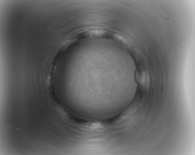 X0000088830715200706211815