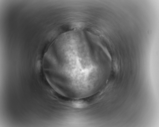 X0000088830716200706211815