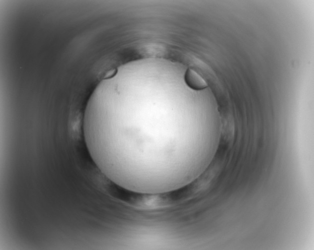 X0000088830717200706211815