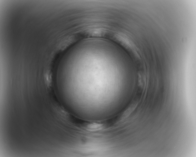 X0000088830718200706211815