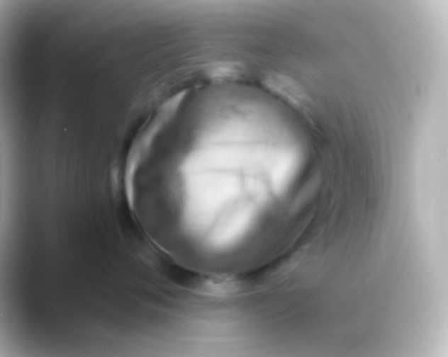 X0000088830720200706211815