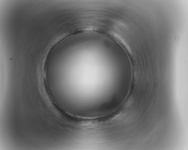 X0000088830721200706211814