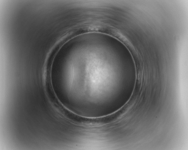 X0000088830722200706211814