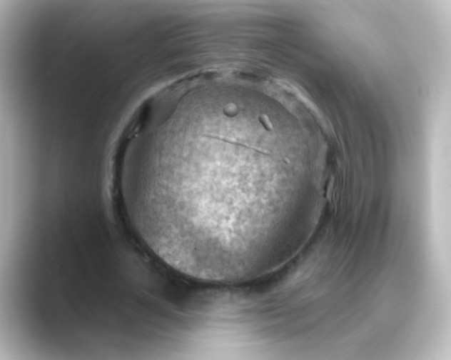 X0000088830724200706211814