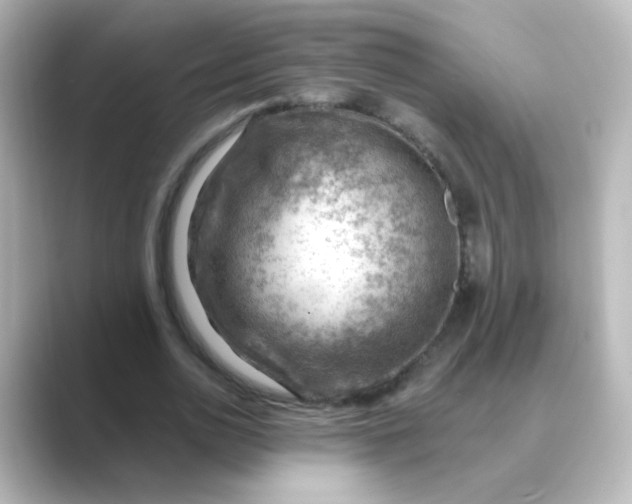 X0000088830726200706211814