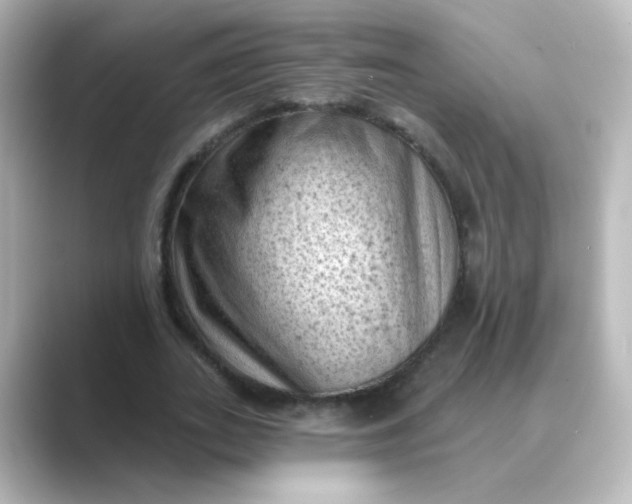 X0000088830727200706211814