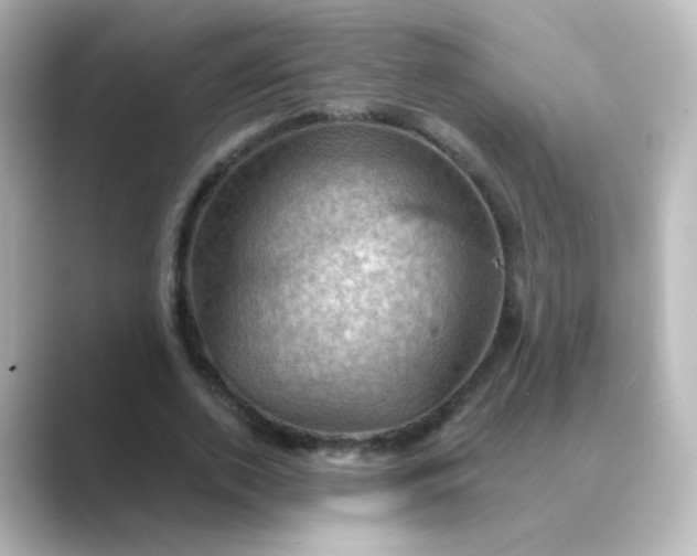 X0000088830728200706211814