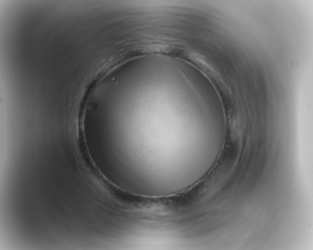 X0000088830729200706211814