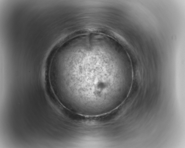 X0000088830730200706211814