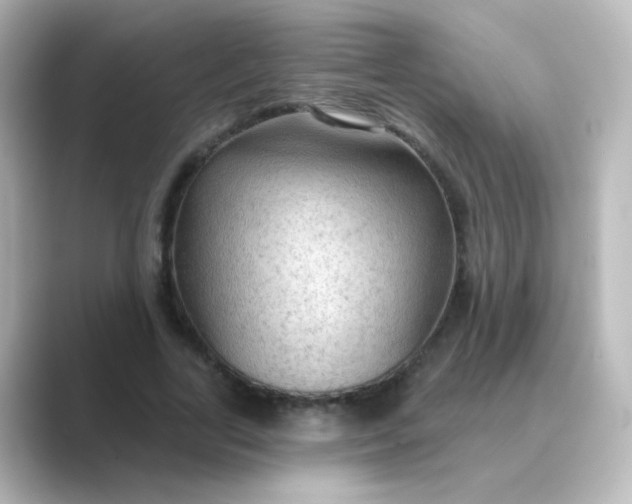 X0000088830731200706211814