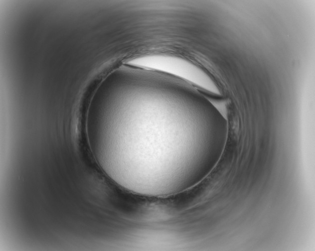 X0000088830732200706211814