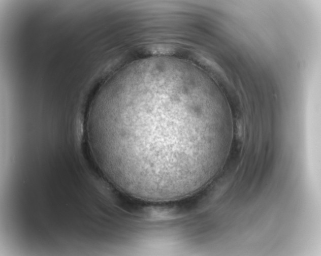 X0000088830733200706211814