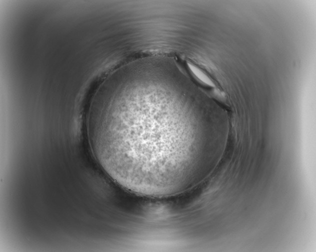 X0000088830735200706211814