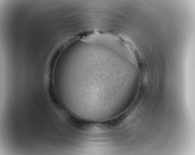 X0000088830736200706211814