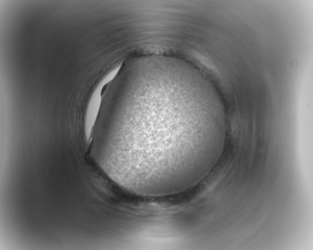 X0000088830737200706211814