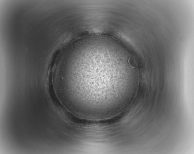 X0000088830738200706211814