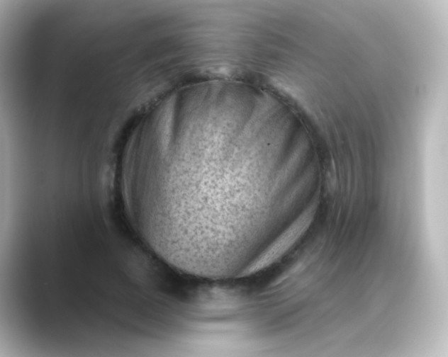 X0000088830739200706211814