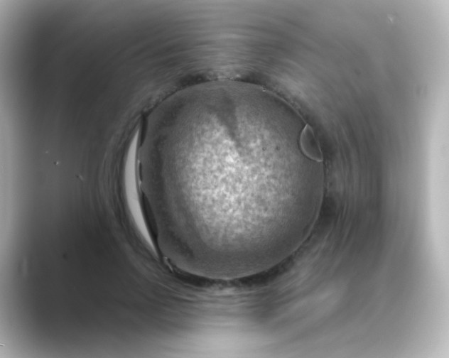 X0000088830742200706211814