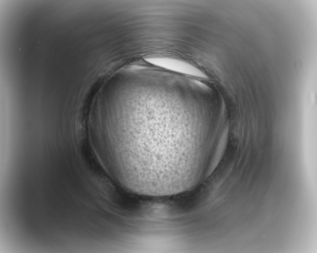 X0000088830743200706211814