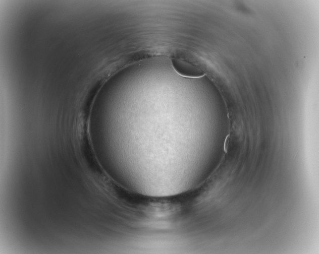 X0000088830744200706211814