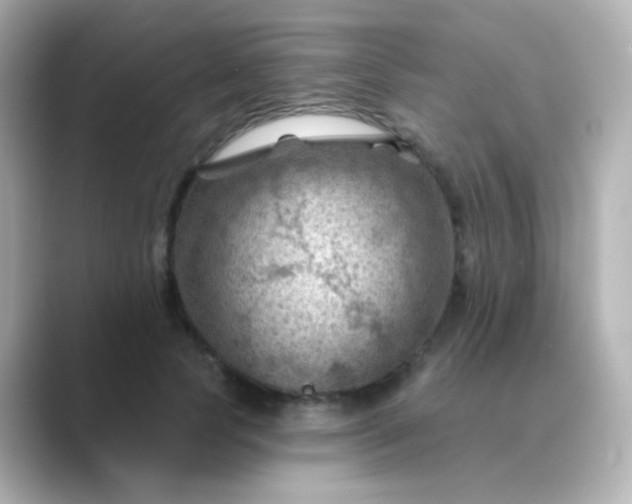 X0000088830745200706211814