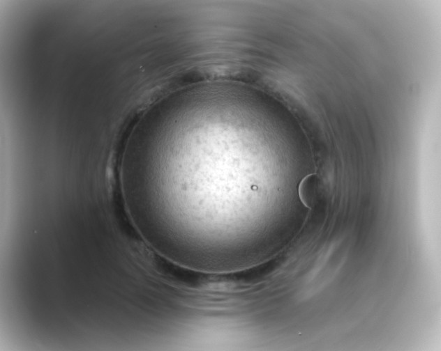 X0000088830746200706211814