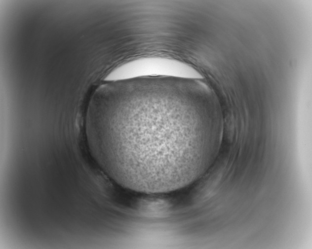 X0000088830747200706211814