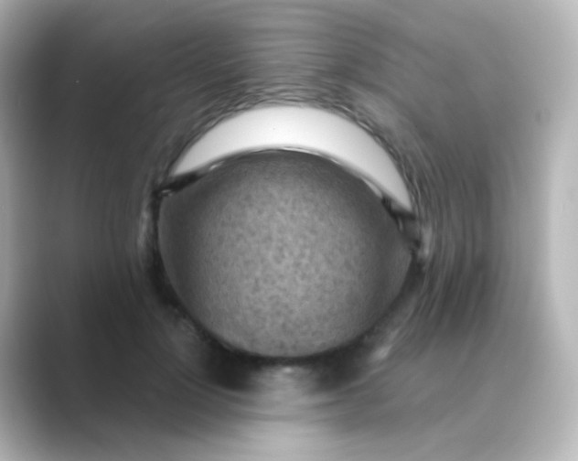 X0000088830748200706211814