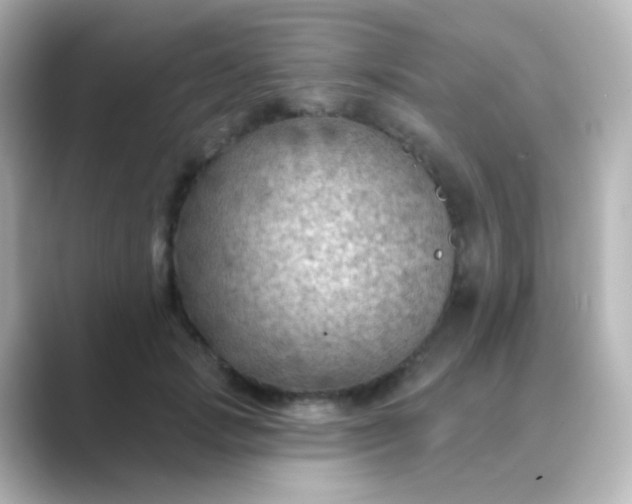 X0000088830749200706211814