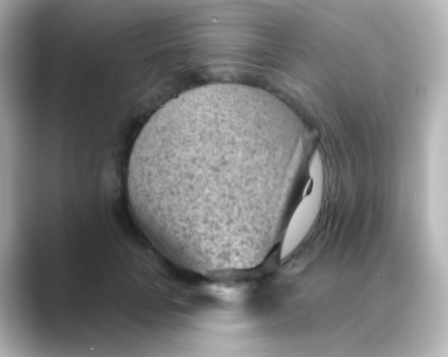 X0000088830751200706211814