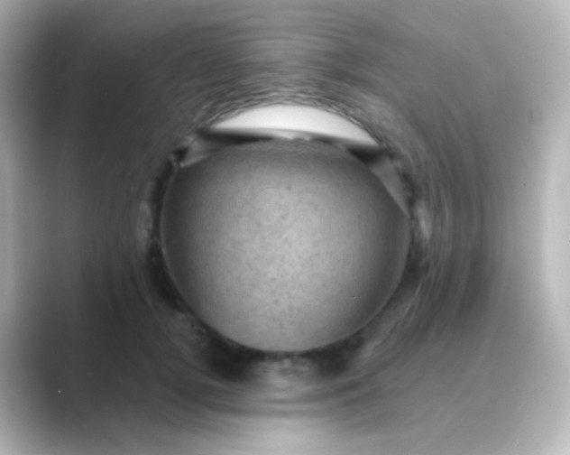 X0000088830752200706211814