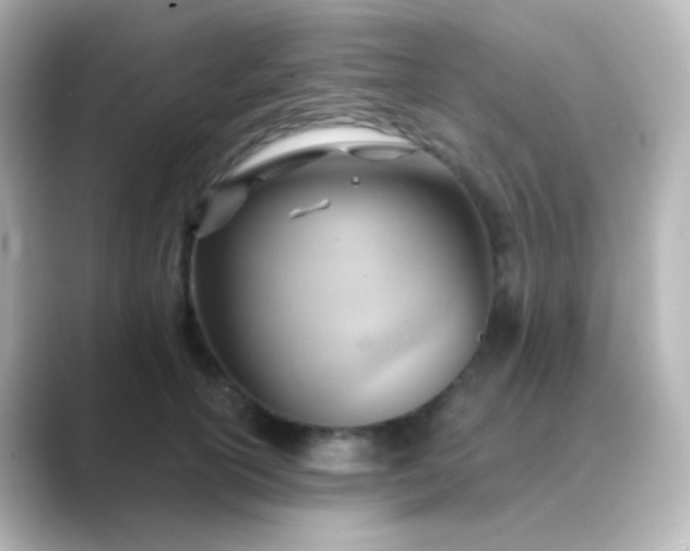 X0000088830754200706211814