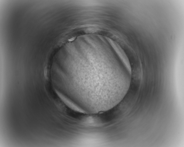 X0000088830755200706211814