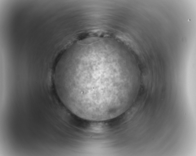 X0000088830757200706211814