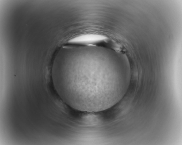 X0000088830759200706211814