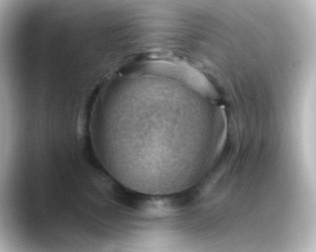 X0000088830760200706211814