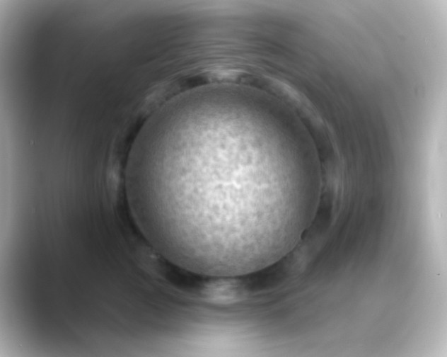 X0000088830761200706211814