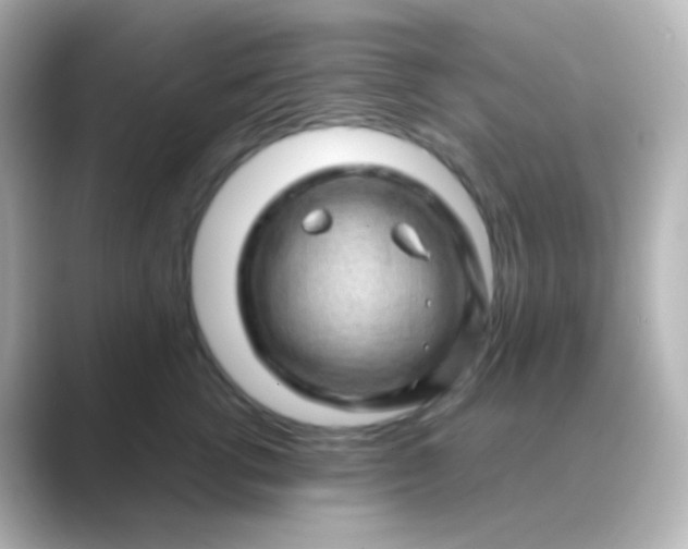 X0000088830762200706211814