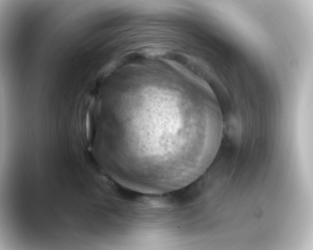 X0000088830763200706211814