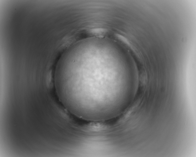 X0000088830764200706211815