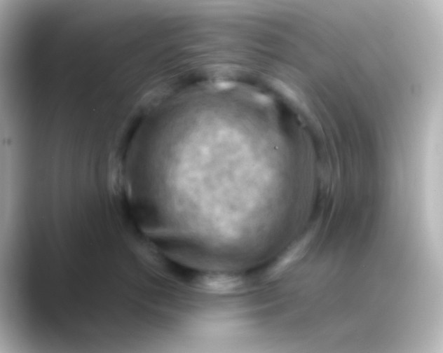 X0000088830766200706211815